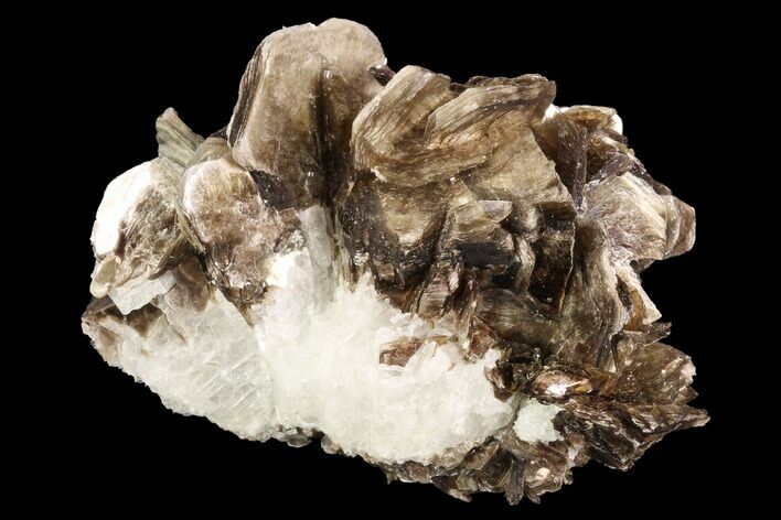 Muscovite & White Albite Crystal Association - Brazil #95572